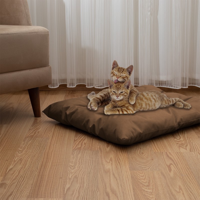 Pet Pillow, Velvet, Rectangle, Gold, 65x50x15cm Pet Pillow, Velvet, Rectangle, Gold, 65x50x15cm