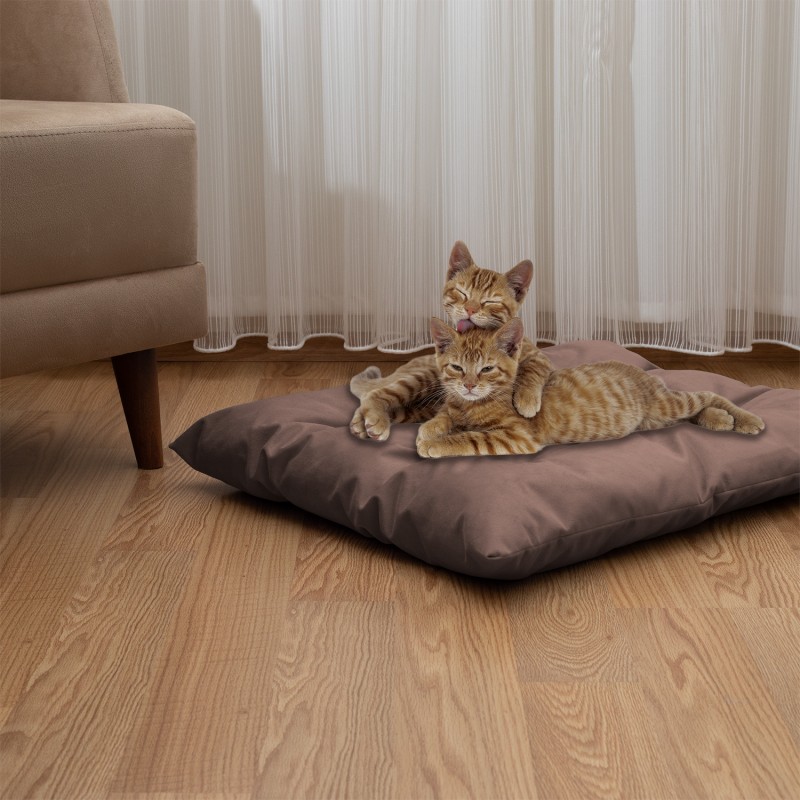 Pet Pillow, Velvet, Rectangle, Cappuccino, 65x50x15cm Pet Pillow, Velvet, Rectangle, Cappuccino, 65x50x15cm