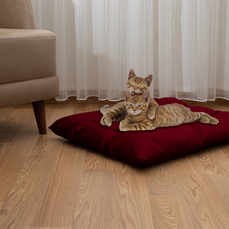 Pet Pillow, Velvet, Rectangle, Burgundy, 65x50x15cm Pet Pillow, Velvet, Rectangle, Burgundy, 65x50x15cm