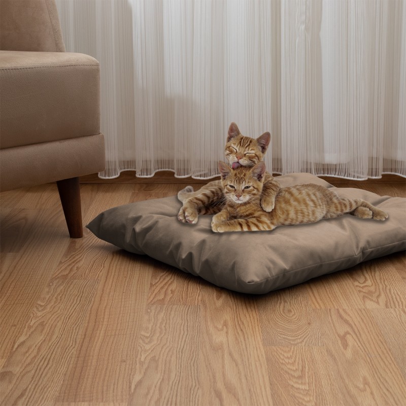 Pet Pillow, Velvet, Rectangle, Beige, 65x50x15cm Pet Pillow, Velvet, Rectangle, Beige, 65x50x15cm