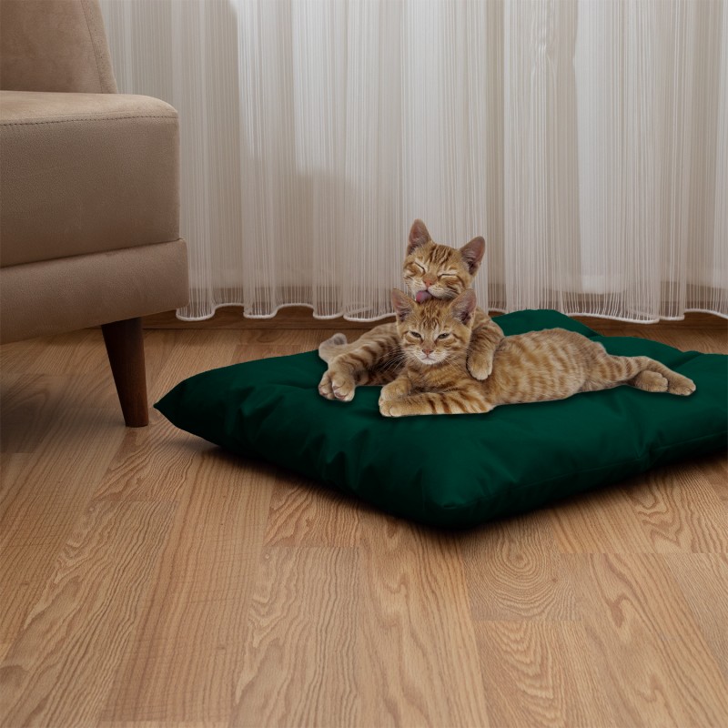 Pet Pillow, Velvet, Rectangle, Green, 65x50x15cm Pet Pillow, Velvet, Rectangle, Green, 65x50x15cm
