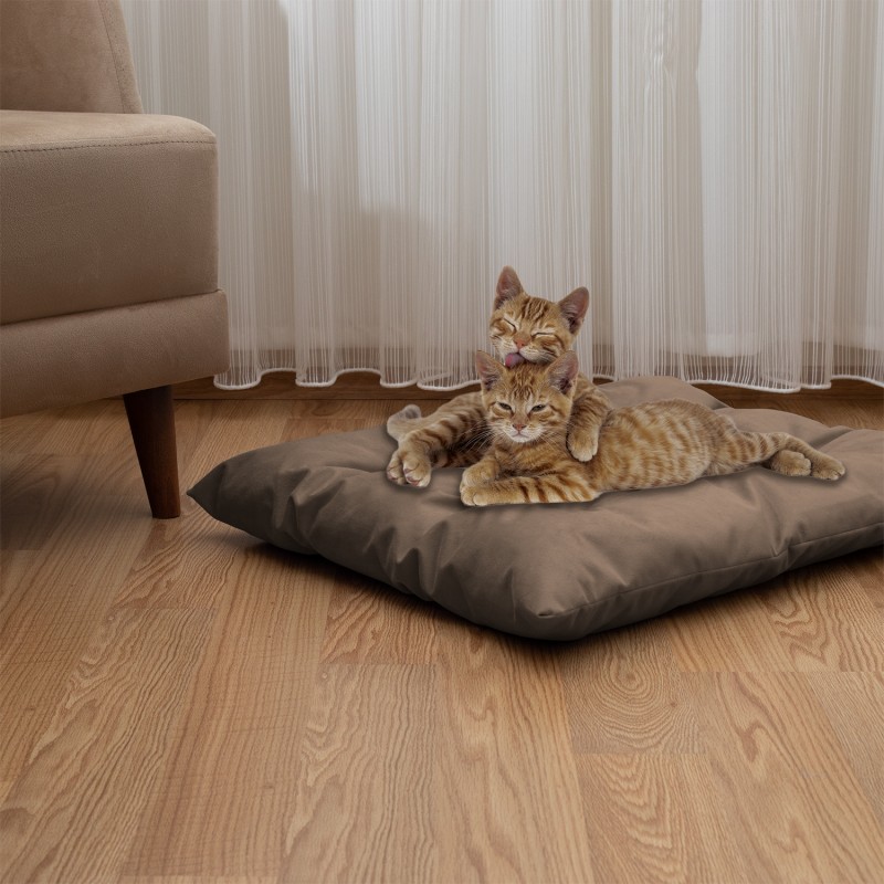 Pet Pillow, Velvet, Rectangle, Cream, 65x50x15cm Pet Pillow, Velvet, Rectangle, Cream, 65x50x15cm